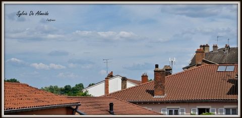 photo no. 2