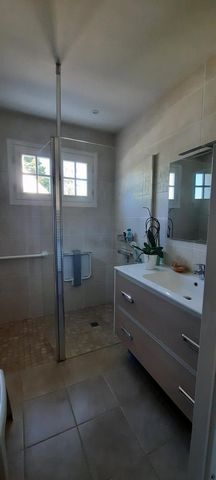 photo no. 11