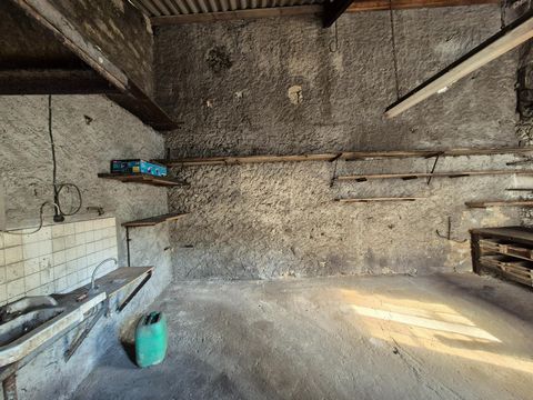 photo no. 14