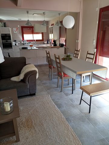 photo no. 16