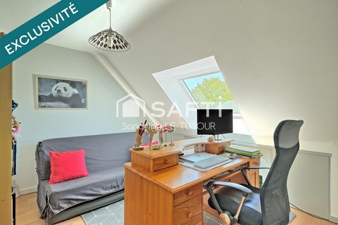 photo no. 11