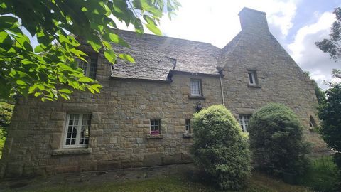photo no. 4