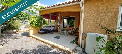 photo no. 12