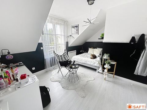 photo no. 6