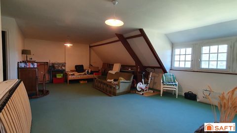 photo no. 12