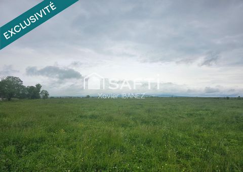 photo no. 1