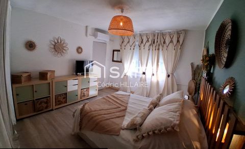 photo no. 11