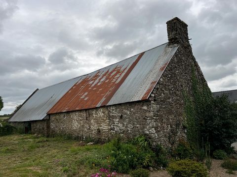 photo no. 2