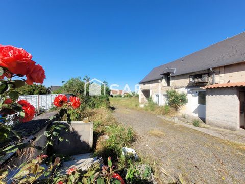 photo no. 12