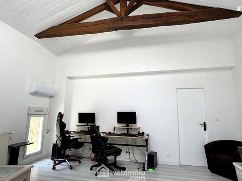 photo no. 12
