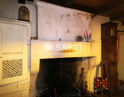 photo no. 10