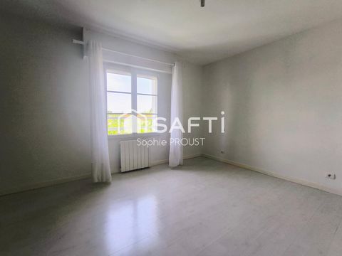 photo no. 12