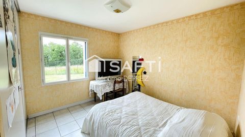 photo no. 6