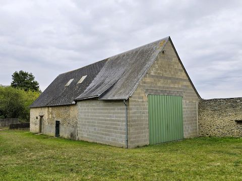 photo no. 5