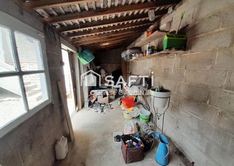 photo no. 12