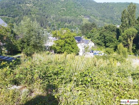 photo no. 3