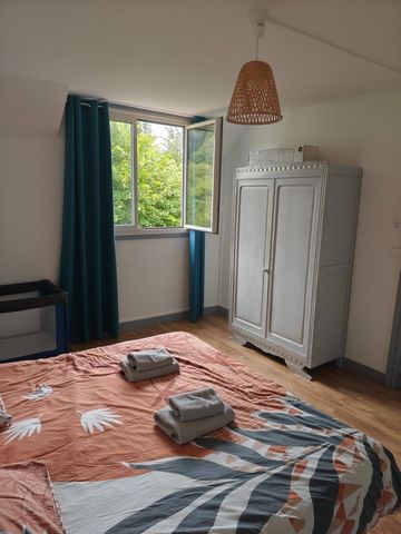 photo no. 10