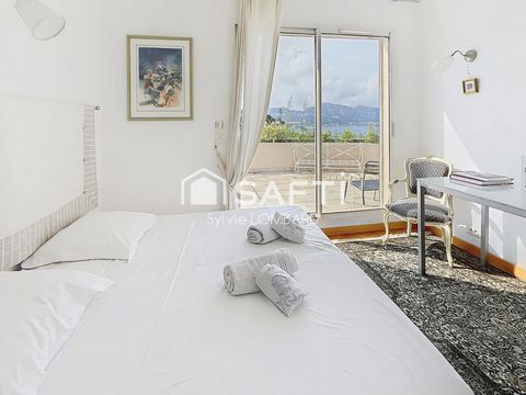 photo no. 13
