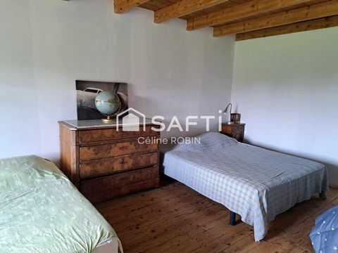 photo no. 6