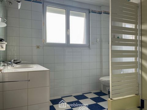 photo no. 12