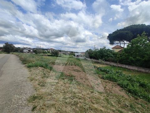 Terreno em Macinhata do Vouga, apenas a 5 minutos de Albergaria-a-Velha e de Águeda. Venda conjunta de dois artigos, para construção de moradia isolada. Este terreno tem uma área total de 2662 m2 e cerca de 40 metros de frente. Neste terreno poderá c...