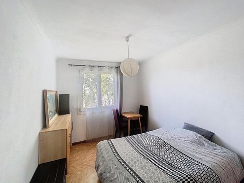 photo no. 6