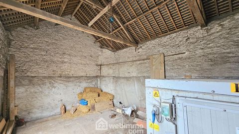 photo no. 16