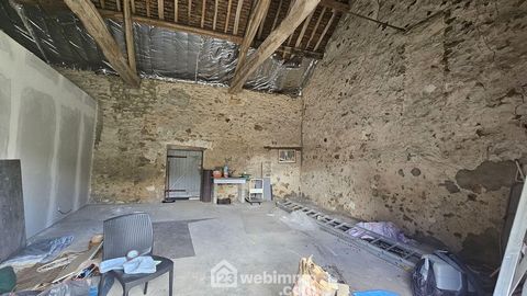 photo no. 11