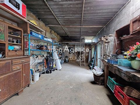 photo no. 9