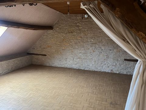 photo no. 11