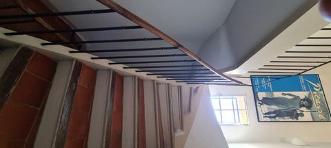 photo no. 11