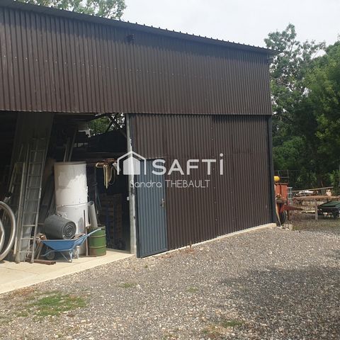 photo no. 9