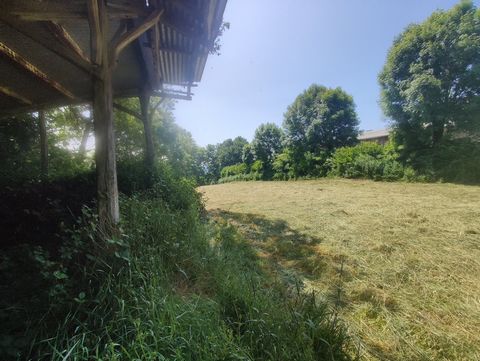 photo no. 18