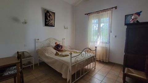 photo no. 14