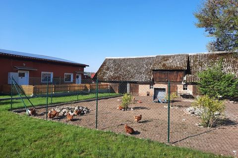 This new holiday farm with a total of five holiday apartments and six holiday homes in the Mirow district of Diemitz offers peace and relaxation on the Vilzsee. For those seeking peace and quiet, the small but fine accommodations are just the right p...