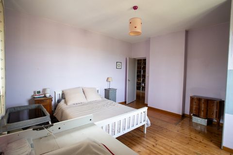 photo no. 12