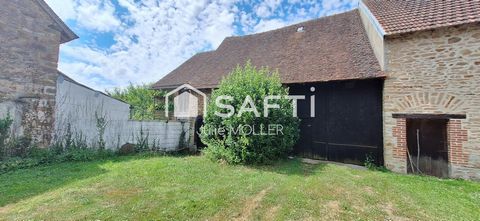 photo no. 9