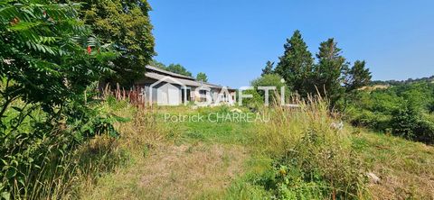 photo no. 11