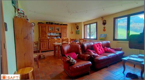 photo no. 10