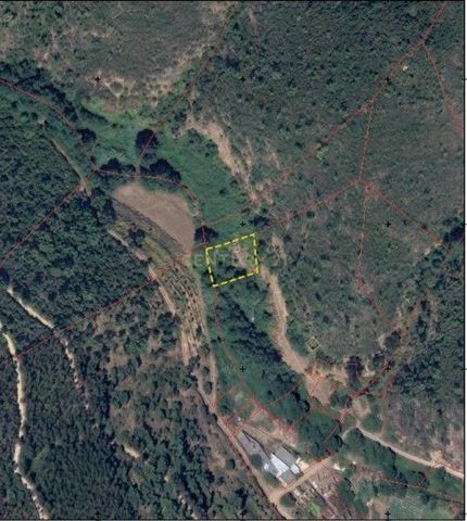 Se procura terreno junto a ribeira com bons acessos para fazer a sua pequena horta, este terreno é ideal para si.