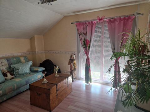 photo no. 10
