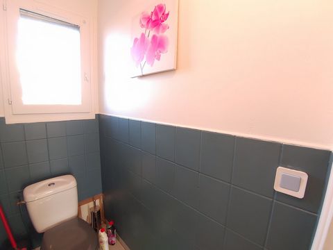 photo no. 31