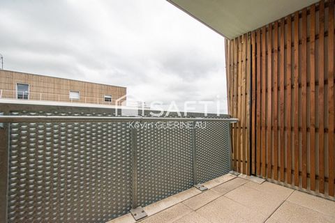 photo no. 8