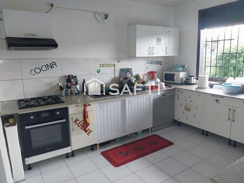 photo no. 6