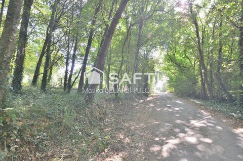 photo no. 4