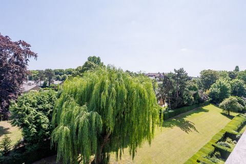 photo no. 1