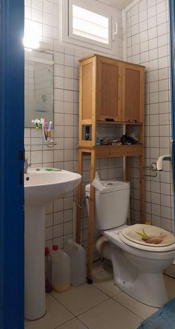 photo no. 11