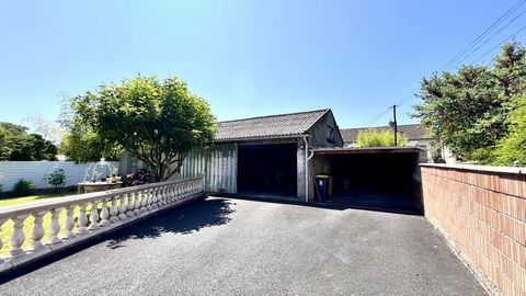 photo no. 19
