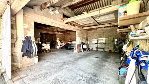 photo no. 20