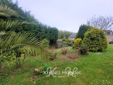 photo no. 7